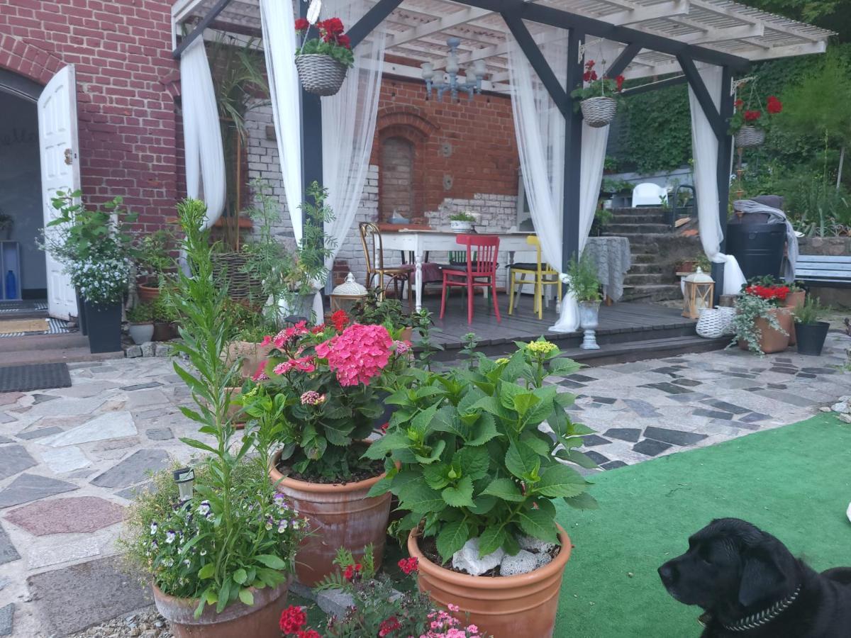 Krzywa Apartamenty Lidzbark Warminski Bagian luar foto